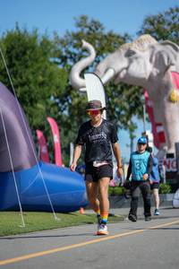 BIB: 
                            <button type="button" onclick="openModal(26544714)" class="btn btn-primary btn-sm float-right btn-popup" data-toggle="modal" data-target=".modal-high-quality">
                        <i class="fas fa-shopping-cart"></i> Add to Cart
                    </button>
                                            <button type="button" onclick="isThisMe(26544714, true)" class="btn btn-success btn-sm float-right btn-popup btn-isme hidden" data-toggle="tooltip" data-placement="bottom" title="นี่คือรูปของคุณใช่ไหม คลิกที่นี่เพื่อเอาเข้าอัลบั้ม">
                        <i class="fas fa-plus"></i> Add to album
                    </button>
                    <button type="button" onclick="isThisMe(26544714, false)" class="btn btn-warning btn-sm float-right btn-popup btn-isnotme hidden">
                        <i class="fas fa-ban"></i> Remove from album
                    </button>